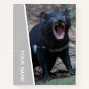 Search for tasmanian devil Animal
