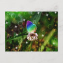 Search for bubble photos postcards Nature