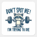 Search for racoon stickers Sarcastic