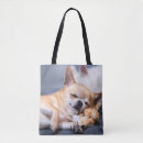 Search for red haired bags Dog