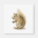 Search for red squirrel magnets Nature