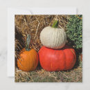 Search for october halloween cards Pumpkin