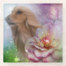 Search for afghans coasters Pet