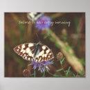Search for entomology posters Insect