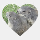 Search for marmot stickers Cute