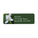 Search for hawaiian flowers return address labels Tropical