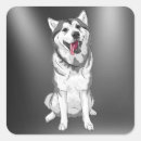 Search for huskies stickers White