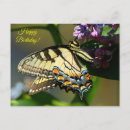 Search for insects photography Yellow