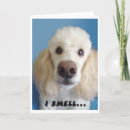 Search for fart old postcards Geezer