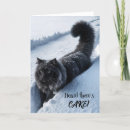 Search for funny black cat birthday cards Pet