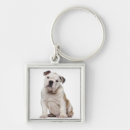 Search for puppy key rings Belgium