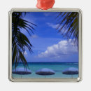 Search for st maarten christmas tree decorations Harbour