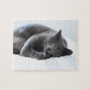 Search for russian blue cat puzzles Pet