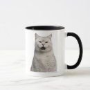 Search for british shorthair mugs Cute