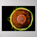 Search for immune posters Science