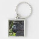 Search for silverback gorilla key rings Mammal