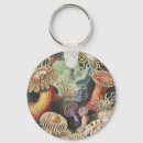 Search for anemone key rings Ernst haeckel