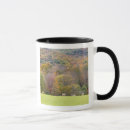Search for hay mugs Barn