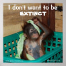 Search for conservative posters Baby