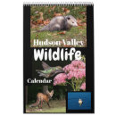 Search for species calendars Birds