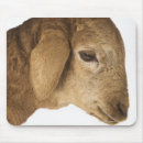 Search for domestical mousepads Sheep