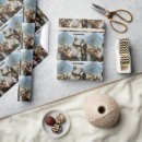 Search for seal wrapping paper Funny
