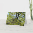 Search for champlain cards Vermont