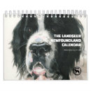 Search for newfoundland calendars Landseer