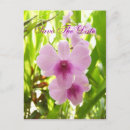 Search for wedded bliss postcards Groom