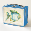 Search for fish lunch boxes Aquarium