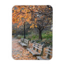 Search for peeping cards Photography