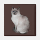 Search for siamese magnets Animals