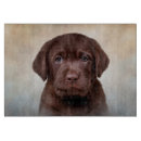Search for labrador chopping boards Animals
