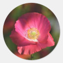 Search for pink poppy stickers Red