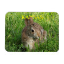 Search for closeup magnets Kansas