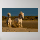 Search for two image posters Sky