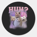 Search for funny cat meme stickers Non bidenary