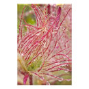 Search for prairie art Usa