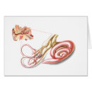 Search for human ear postcards Scarpa's ganglion