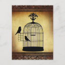 Search for vintage birdcage postcards Antique