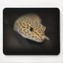 Search for gecko mousepads Leopard