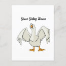 Search for funny kids postcards Bird