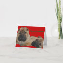 Search for shar pei christmas cards Pets