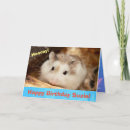 Search for hamster birthday cards Adorable
