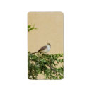 Search for sparrows labels Nature