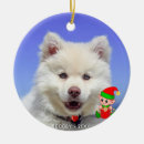 Search for samoyed christmas tree decorations Cute