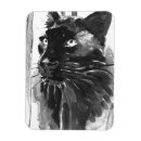 Search for panther magnets Big cat