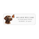 Search for chocolate lab return address labels Watercolor