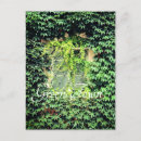 Search for case for iphone postcards Nature