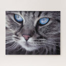 Search for hard puzzles Cat